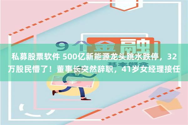 私募股票软件 500亿新能源龙头跳水跌停，32万股民懵了！董事长突然辞职，41岁女经理接任