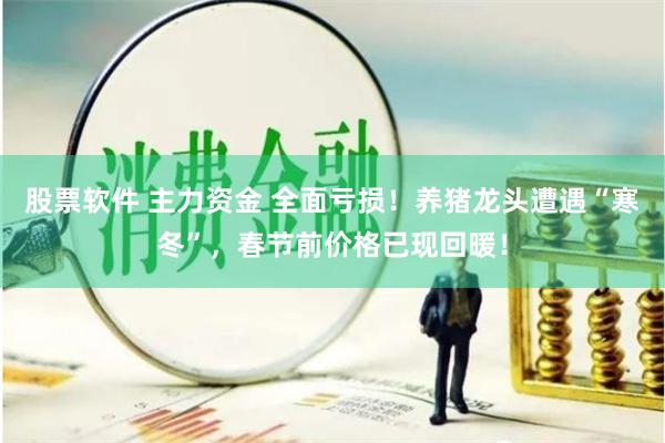 股票软件 主力资金 全面亏损！养猪龙头遭遇“寒冬”，春节前价格已现回暖！