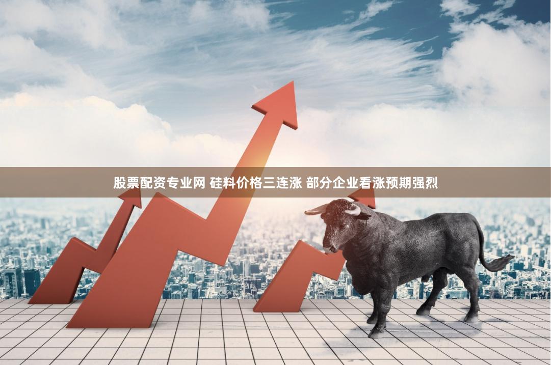股票配资专业网 硅料价格三连涨 部分企业看涨预期强烈