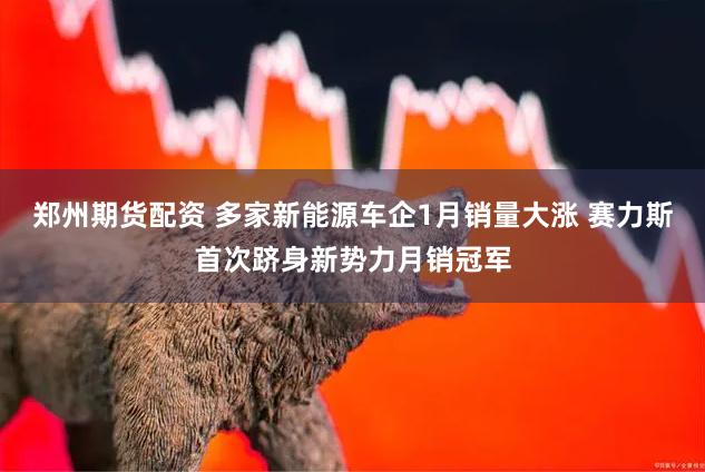 郑州期货配资 多家新能源车企1月销量大涨 赛力斯首次跻身新势力月销冠军