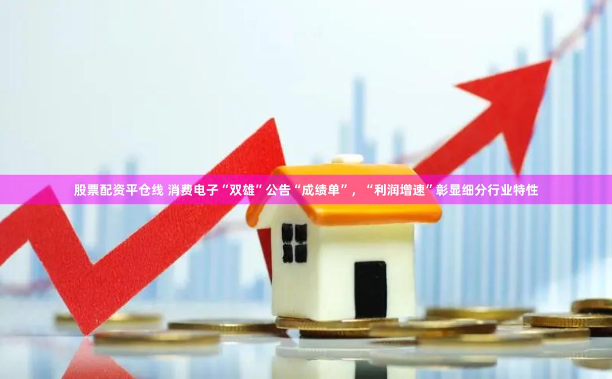 股票配资平仓线 消费电子“双雄”公告“成绩单”，“利润增速”彰显细分行业特性
