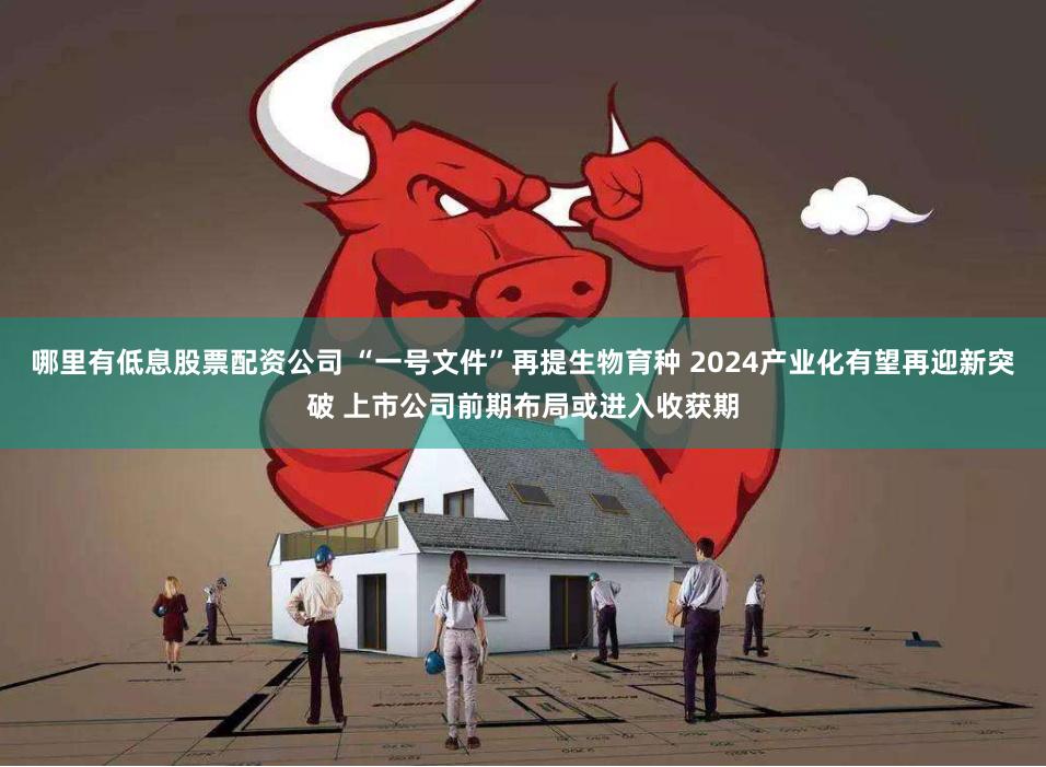 哪里有低息股票配资公司 “一号文件”再提生物育种 2024产业化有望再迎新突破 上市公司前期布局或进入收获期